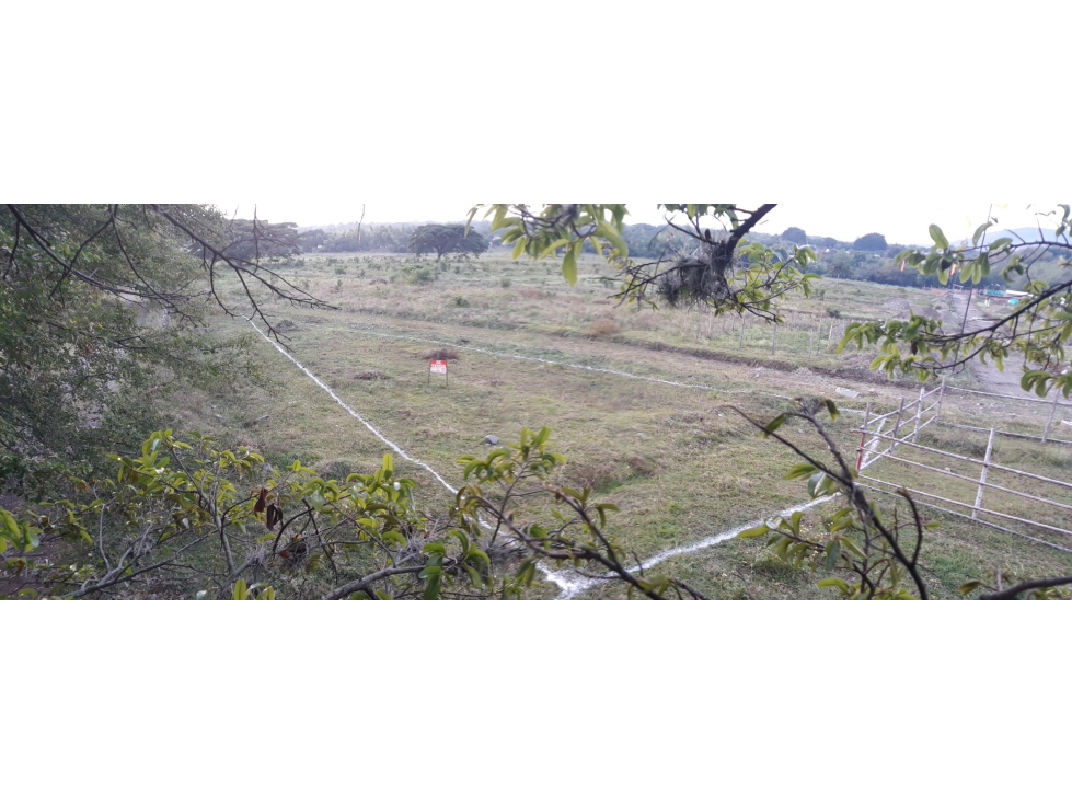 VENTA LOTE VEREDA LA FLORESTA GINEBRA VALLE DEL CAUCA CH - 3