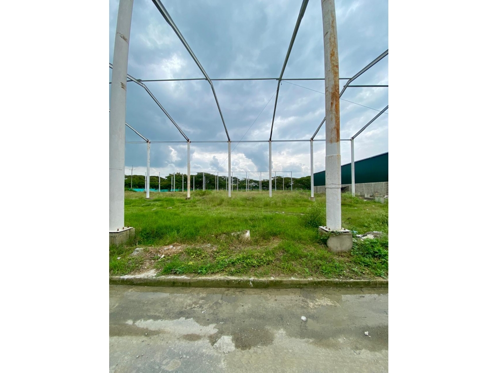 SE VENDE LOTE INDUSTRIAL DE 1.000MTS EN PALMASECA — foto 2