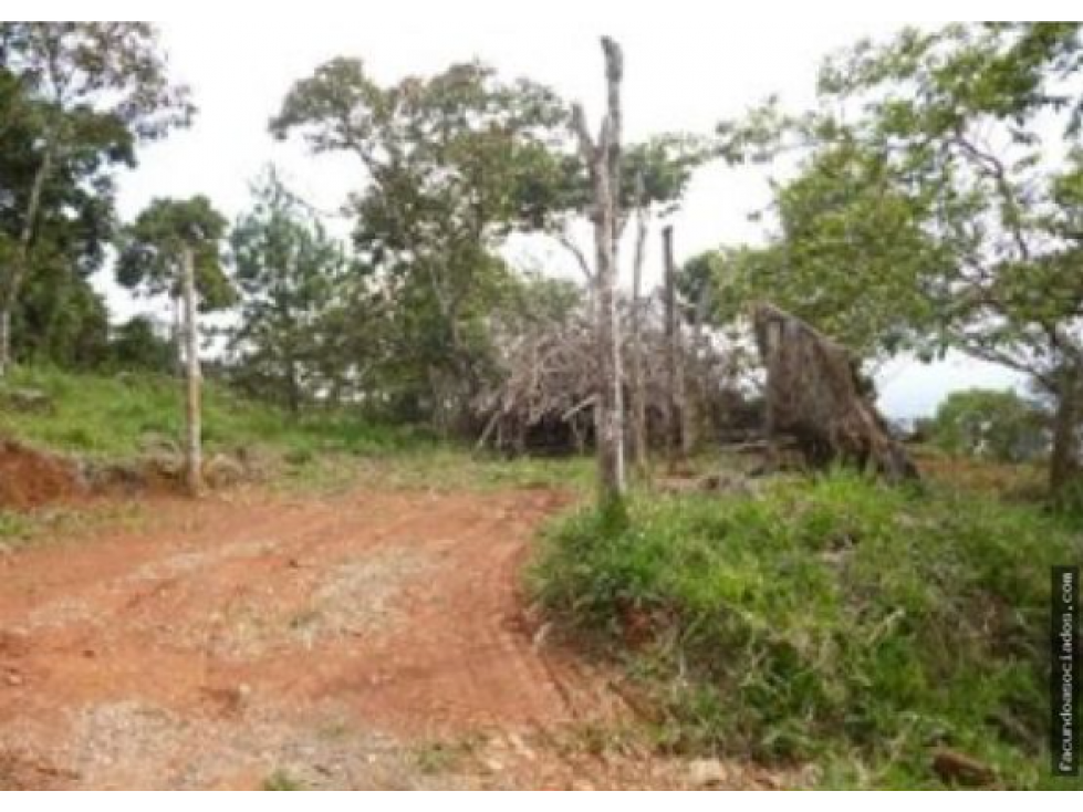 Se Vende Lote/terreno Residencial Via Cristo Rey 9.285m2 - KF — foto 2