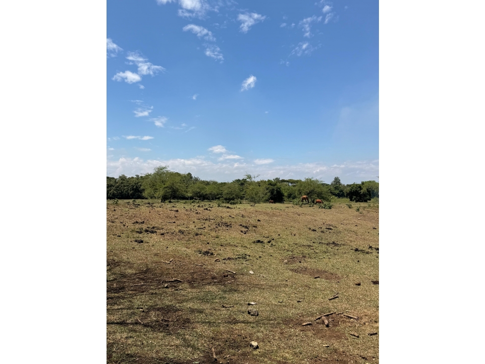 VENTA DE 2 LOTES INSTITUCIONALES 42.000M2 EN LA VIGA PANCE CH-DT — foto 2
