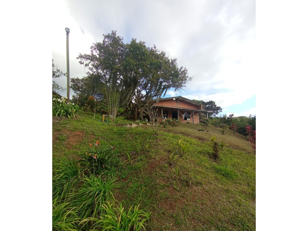 FINCA INDEPENDIENTE EN VENTA, TOCOTA A 7KM DE LA VIA AL MAR, CH-DT — foto 3