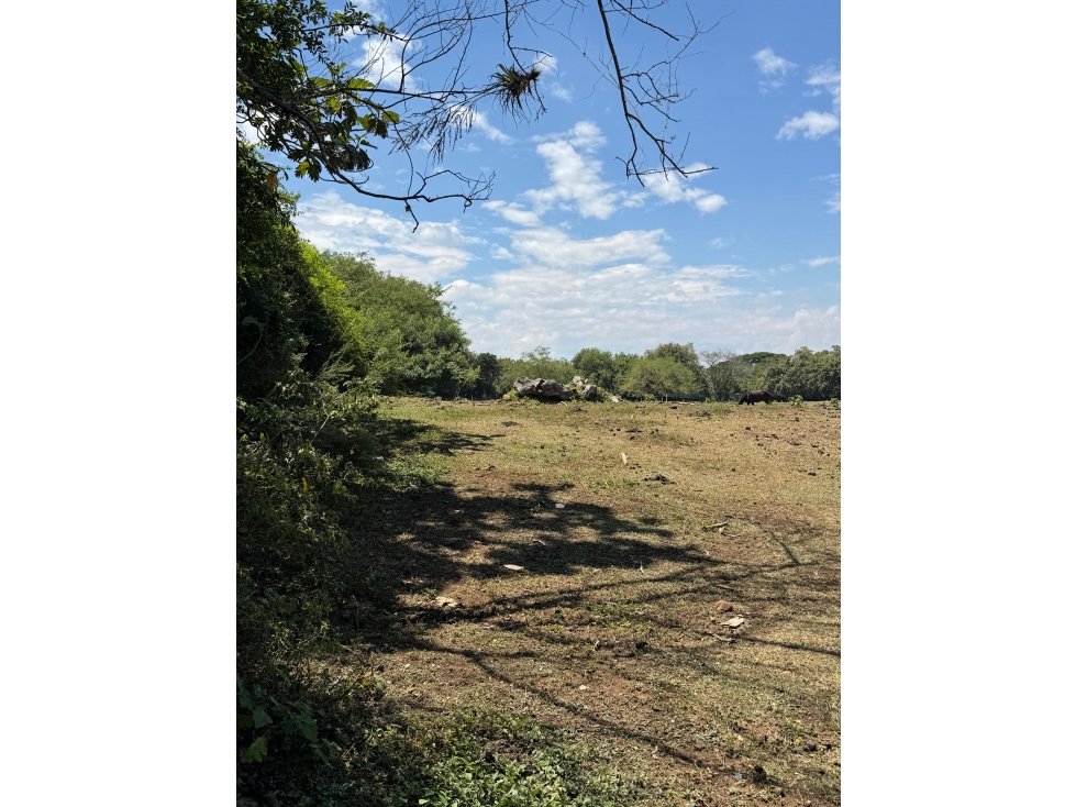 VENTA DE 2 LOTES INSTITUCIONALES 42.000M2 EN LA VIGA PANCE CH-DT — foto 3