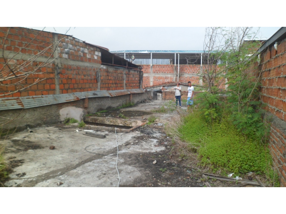 Casa Externa Los Pinos — foto 6