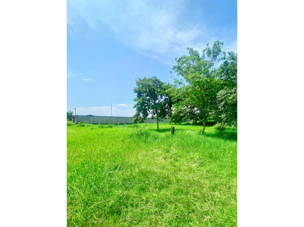 LOTE ESQUINERO DE 14.400MTS sobre vía principal Cali-Rozo — foto 4