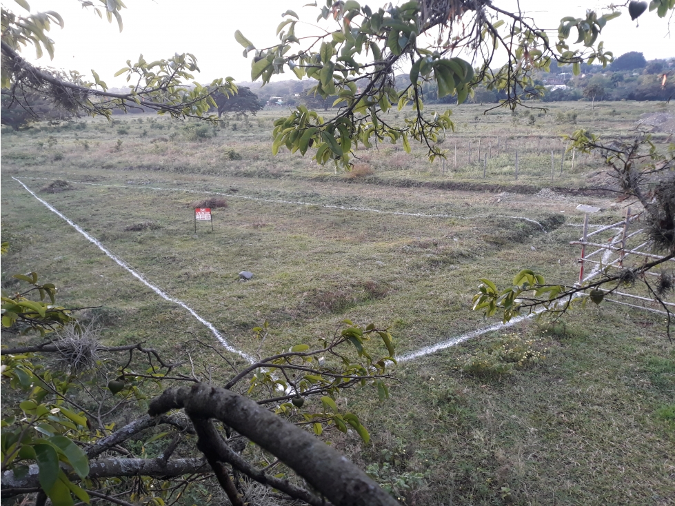 VENTA LOTE VEREDA LA FLORESTA GINEBRA VALLE DEL CAUCA CH - 1
