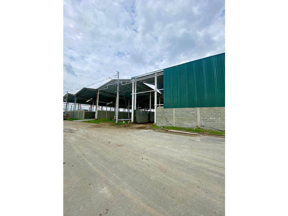 SE VENDE LOTE INDUSTRIAL DE 1.000MTS EN PALMASECA — foto 4