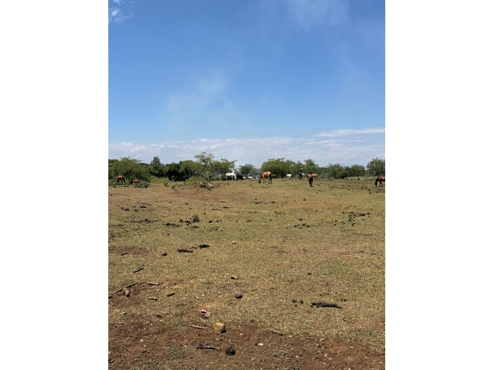 VENTA DE 2 LOTES INSTITUCIONALES 42.000M2 EN LA VIGA PANCE CH-DT — foto 4