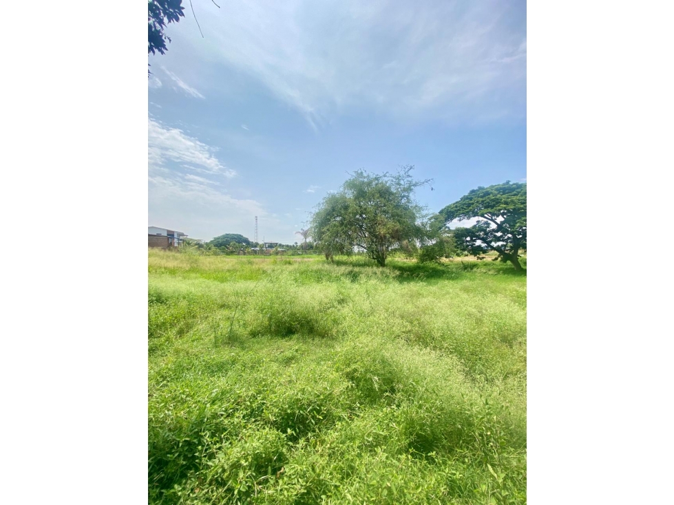 LOTE ESQUINERO DE 14.400MTS sobre vía principal Cali-Rozo — foto 5