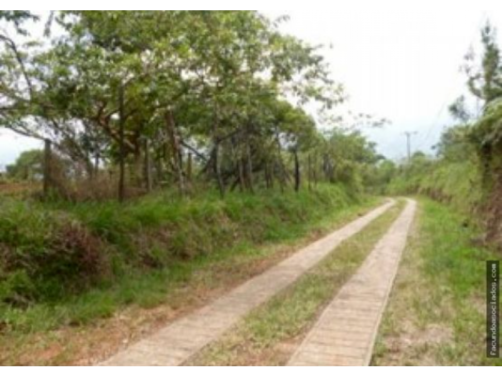 Se Vende Lote/terreno Residencial Via Cristo Rey 9.285m2 - KF — foto 5