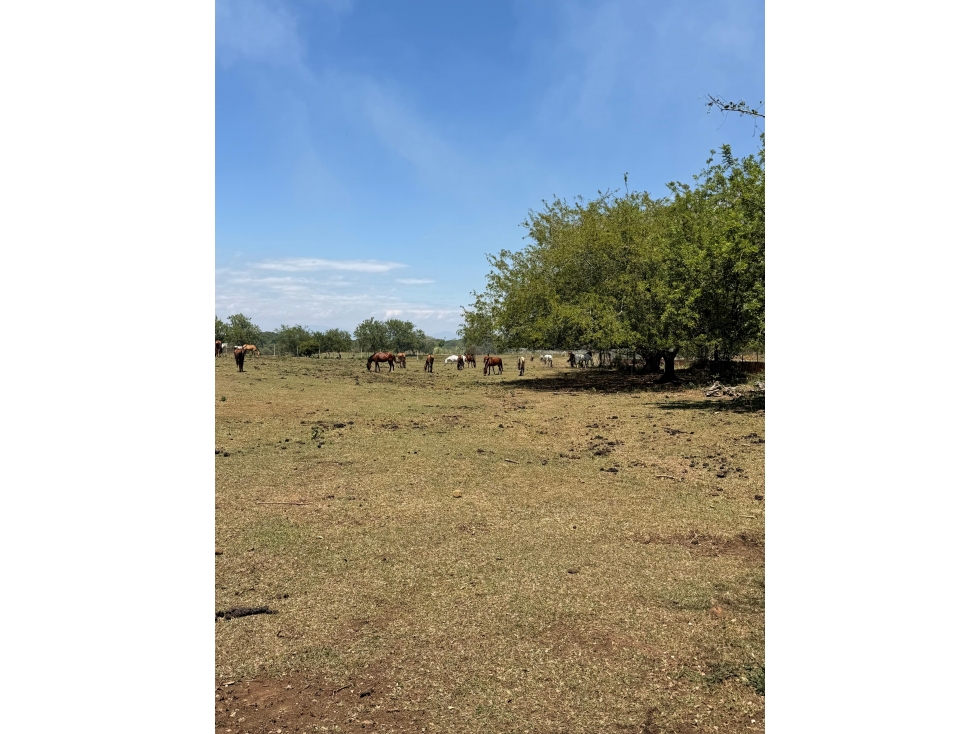 VENTA DE 2 LOTES INSTITUCIONALES 42.000M2 EN LA VIGA PANCE CH-DT — foto 5
