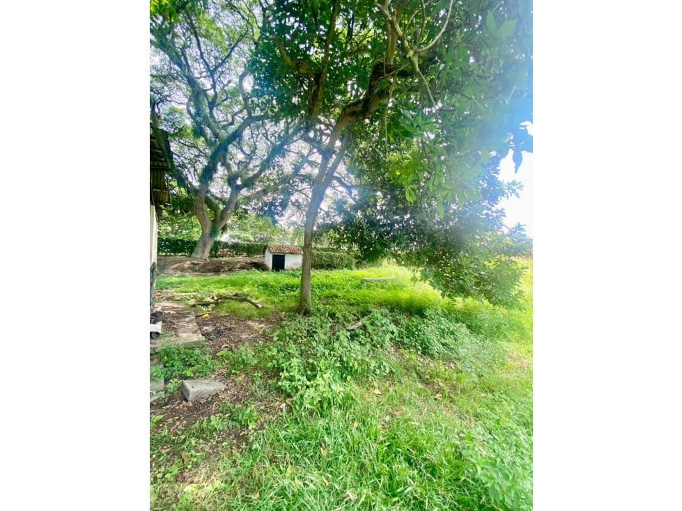 LOTE ESQUINERO DE 14.400MTS sobre vía principal Cali-Rozo — foto 6