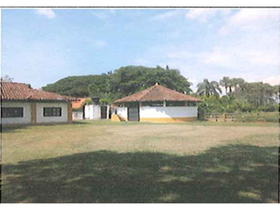 VENTA DE FINCA DE PESEBRERAS, CORREGIMIENTO PALMASECA , ROZO, CH