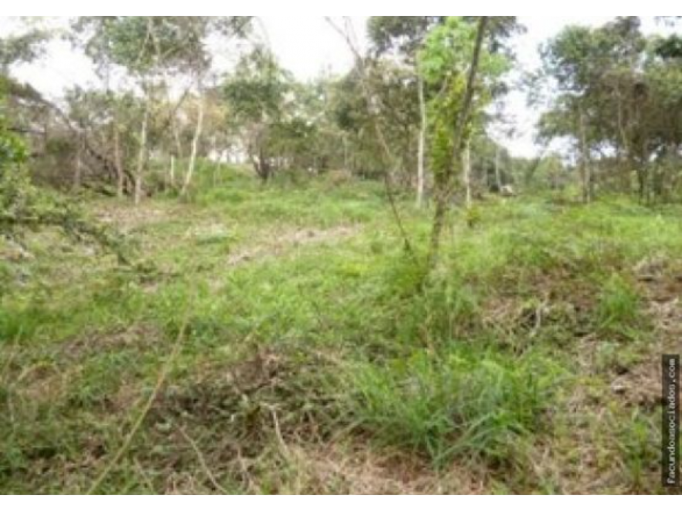 Se Vende Lote/terreno Residencial Via Cristo Rey 9.285m2 - KF — foto 6