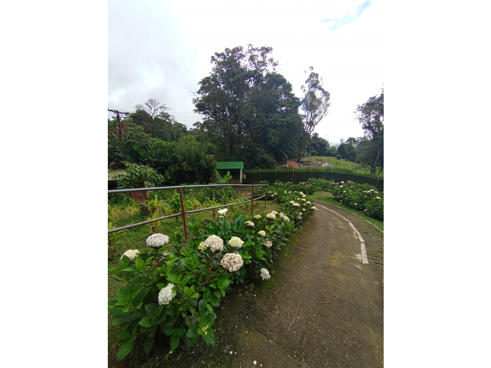 FINCA EN VENTA 10.000M2 KM 18 VEREDA LOS ROSALES LA ELVIRA CH-DT — foto 5