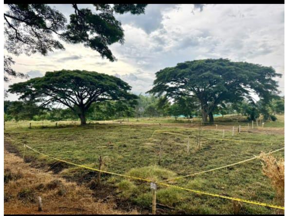 LOTES EN VENTA PARCELACION LA MARTINA II DESDE 200M2 - 1