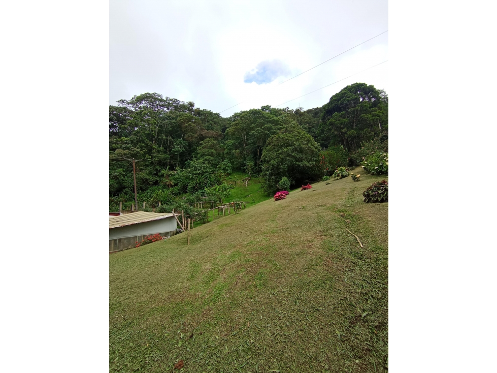 FINCA EN VENTA 10.000M2 KM 18 VEREDA LOS ROSALES LA ELVIRA CH-DT — foto 4