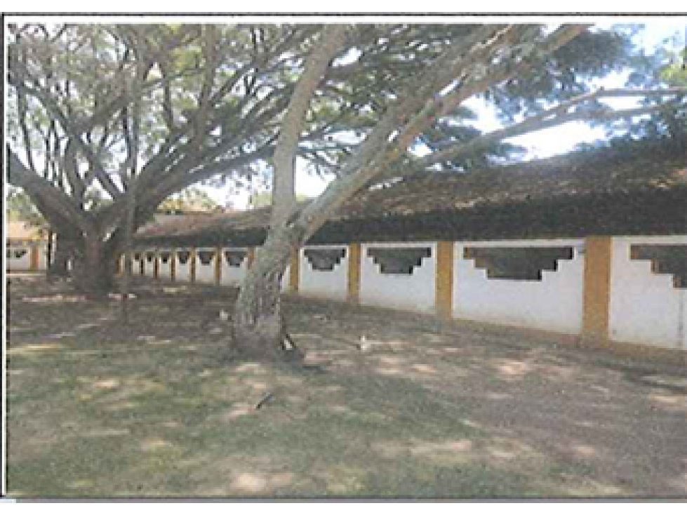 VENTA DE FINCA DE PESEBRERAS, CORREGIMIENTO PALMASECA , ROZO, CH — foto 4