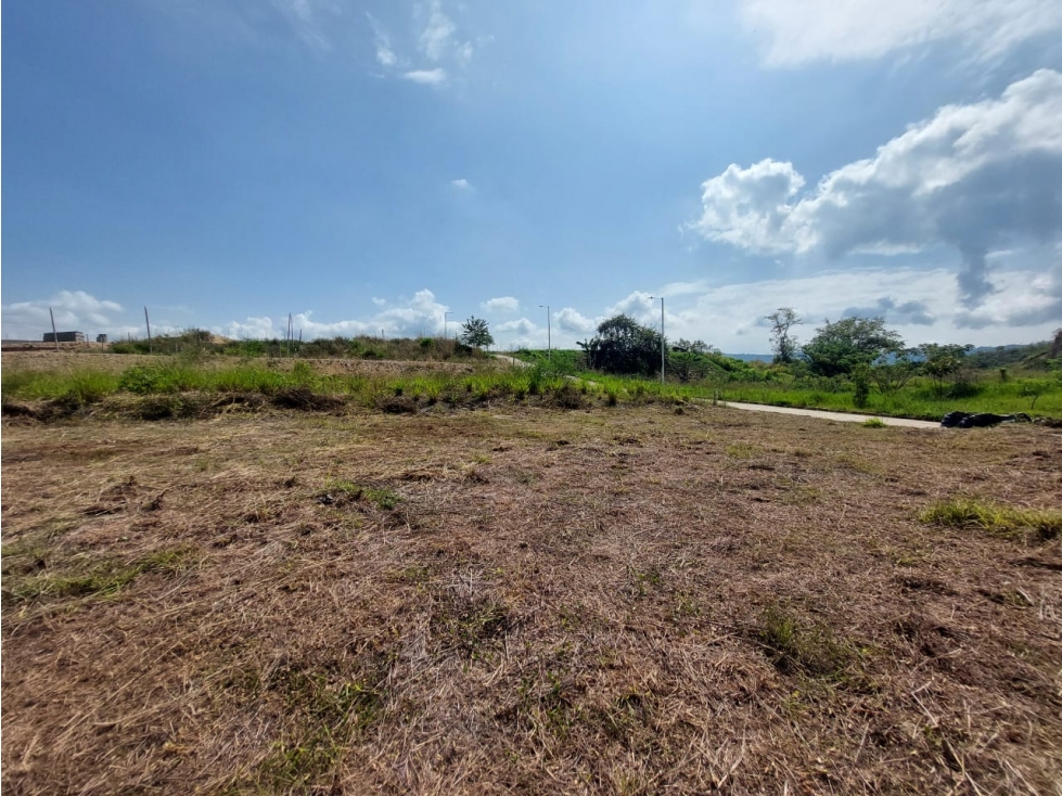 Lote en venta en el barrio el Limonar campestre Cartago Valle - 2