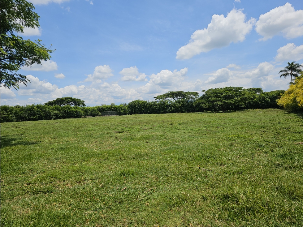 Lote en Venta Rozo-sector la Torre Valle del Cauca — foto 3
