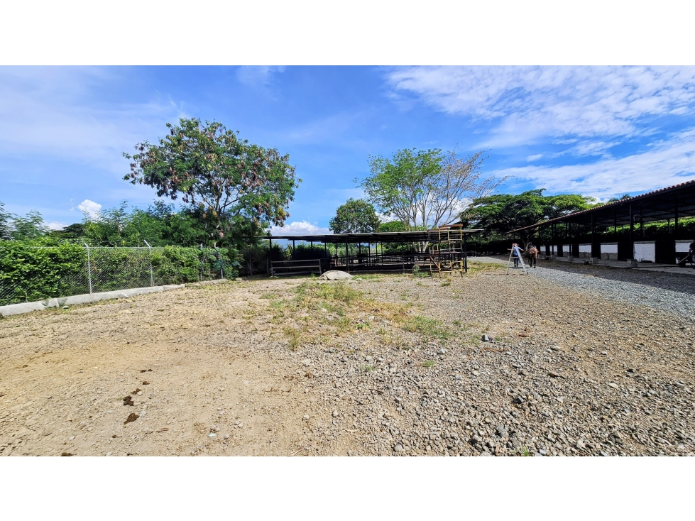 Lote en Venta Rozo-sector la Torre Valle del Cauca — foto 4