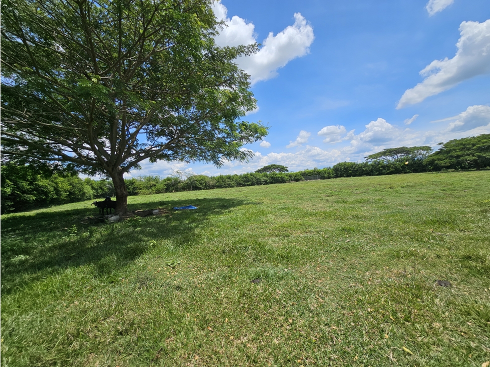 Lote en Venta Rozo-sector la Torre Valle del Cauca — foto 4