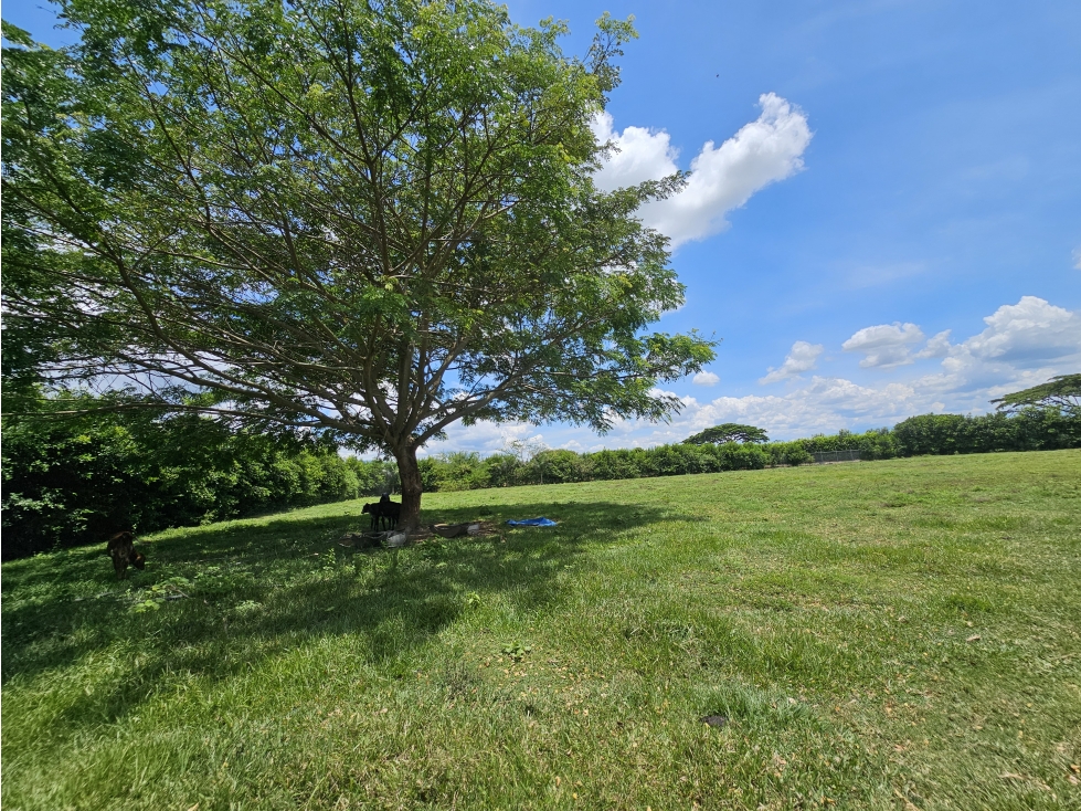 Lote en Venta Rozo-sector la Torre Valle del Cauca — foto 6