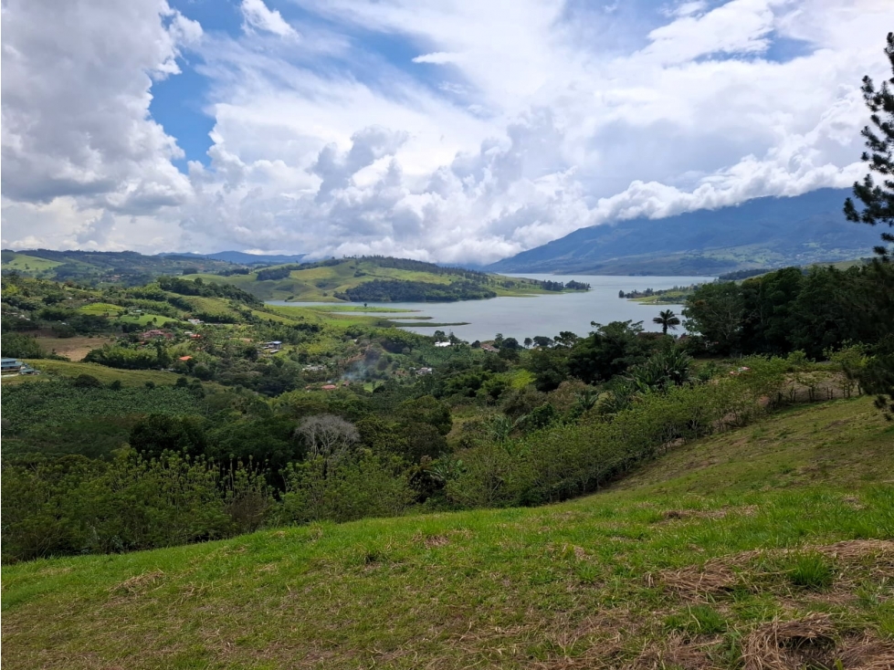 VENTA LOTE CON CONTAINERS - JIGUALES LAGO CALIMA