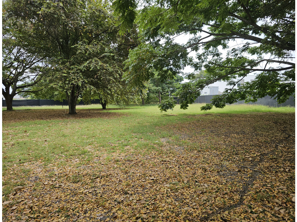 Venta de Lote en Rozo Rincon de Matapalo — foto 4