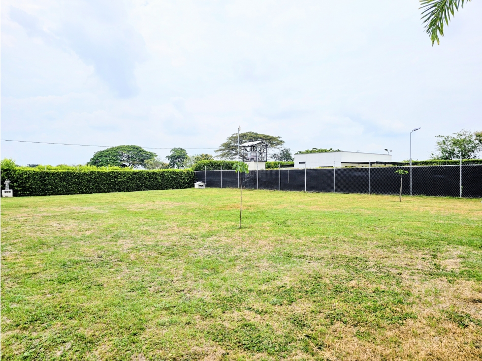 Venta de Lote en Rozo sector Matapalo Valle del Cauca — foto 5