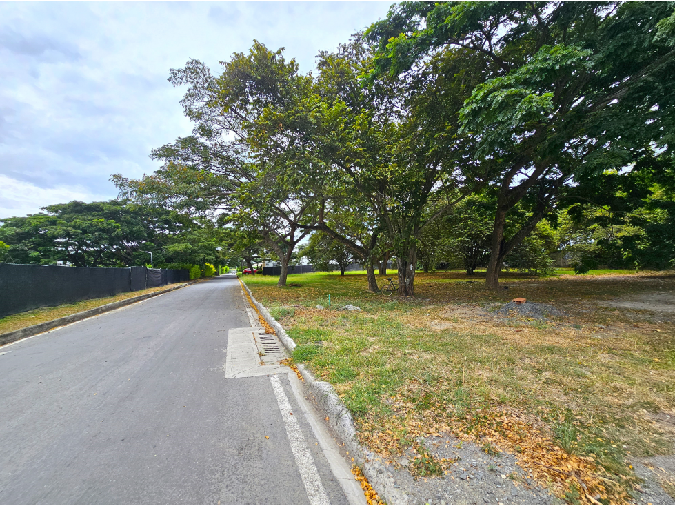 Venta de Lote en Rozo Rincon de Matapalo — foto 3
