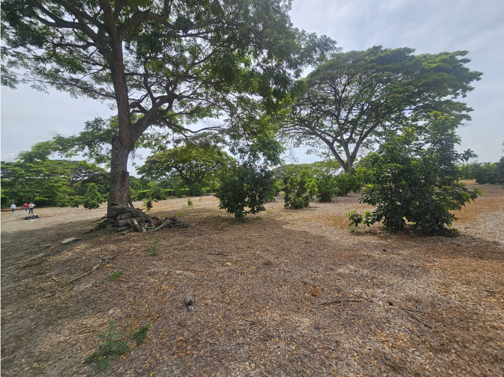 Venta de Lote en Rozo sector Matapalo Valle del Cauca — foto 5