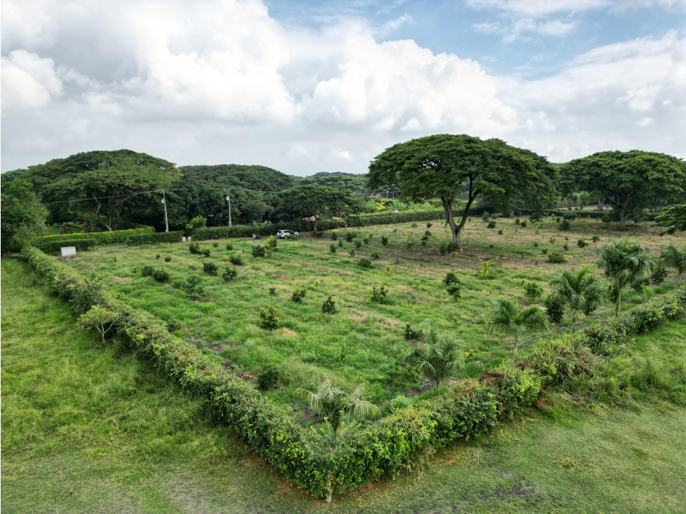 Venta de Lote en Rozo sector Matapalo Valle del Cauca