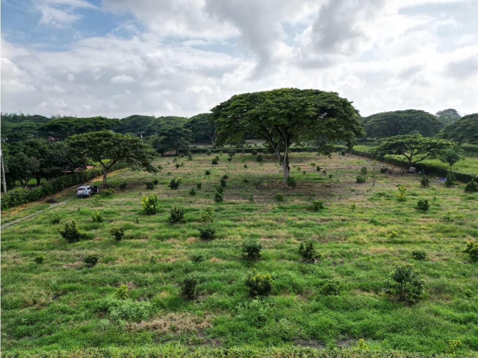 Venta de Lote en Rozo sector Matapalo Valle del Cauca — foto 2