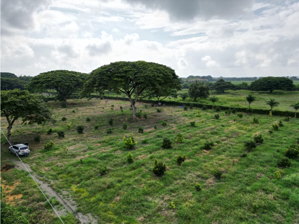 Venta de Lote en Rozo sector Matapalo Valle del Cauca — foto 4