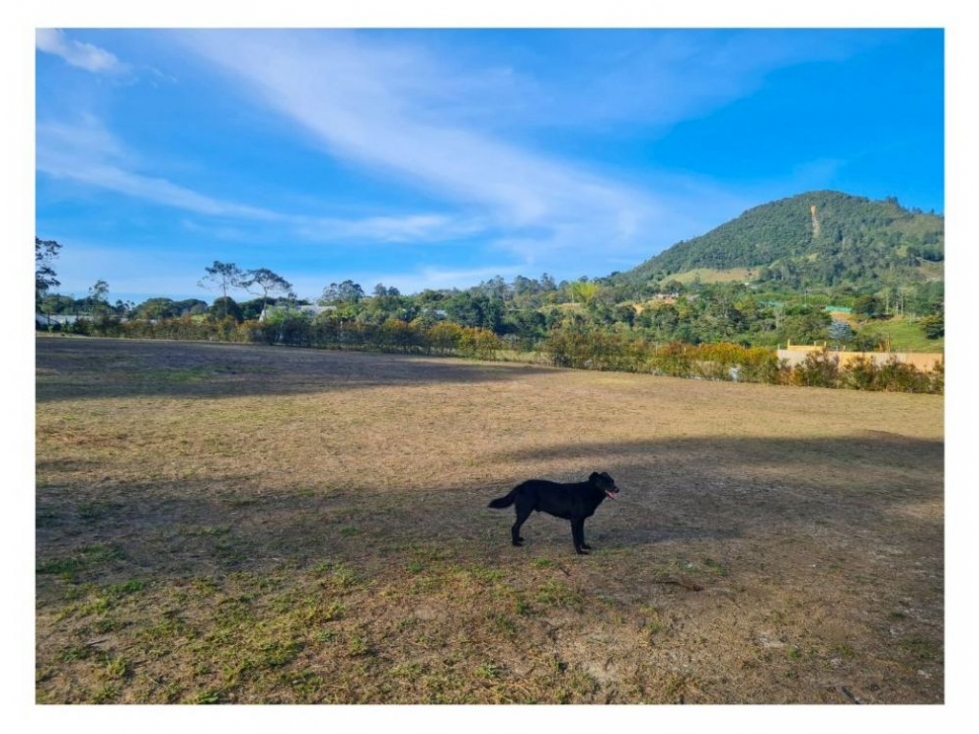 LOTE PARA LA VENTA UBICADO EN LA CEJA ANTIOQUIA SECTOR SAN NICOLAS — foto 5
