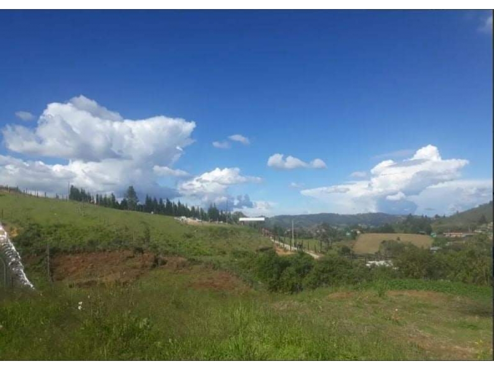 (V.I) LOTE EN VENTA GUARNE, VEREDA BATEA SECA