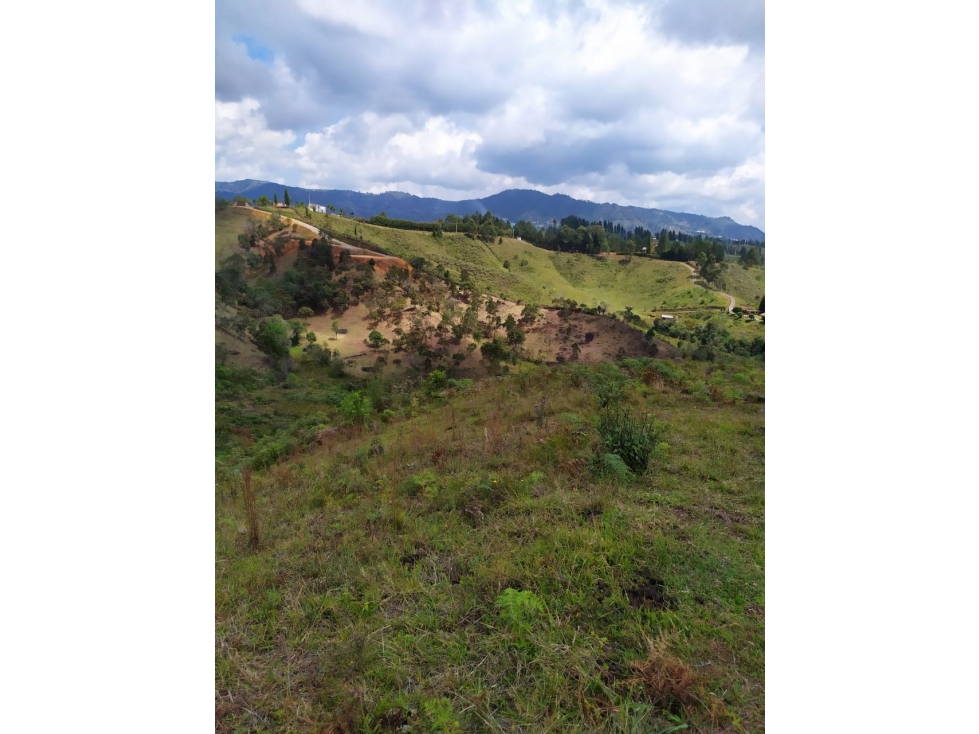 EXCELENTE PROYECTO COLINAS DE CYPRÉSS. LOTES EN CALDAS, ANTIOQUIA - 2