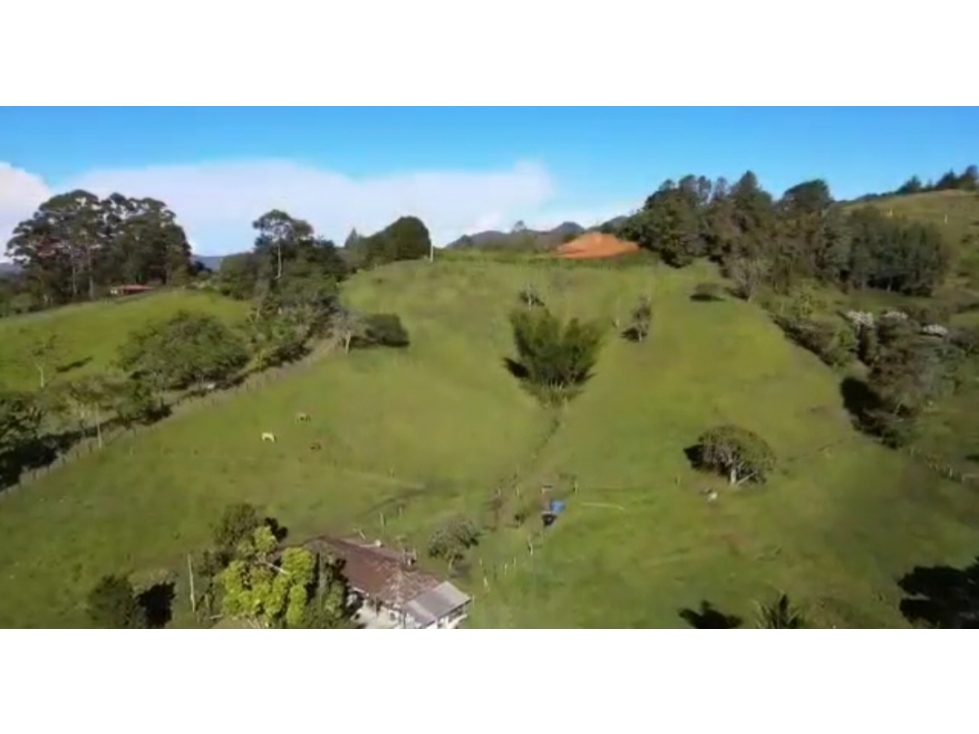 (V.I) ESPECTACULAR Y AMPLIO LOTE EN RIONEGRO EN VENTA, VEREDA CAPIRO