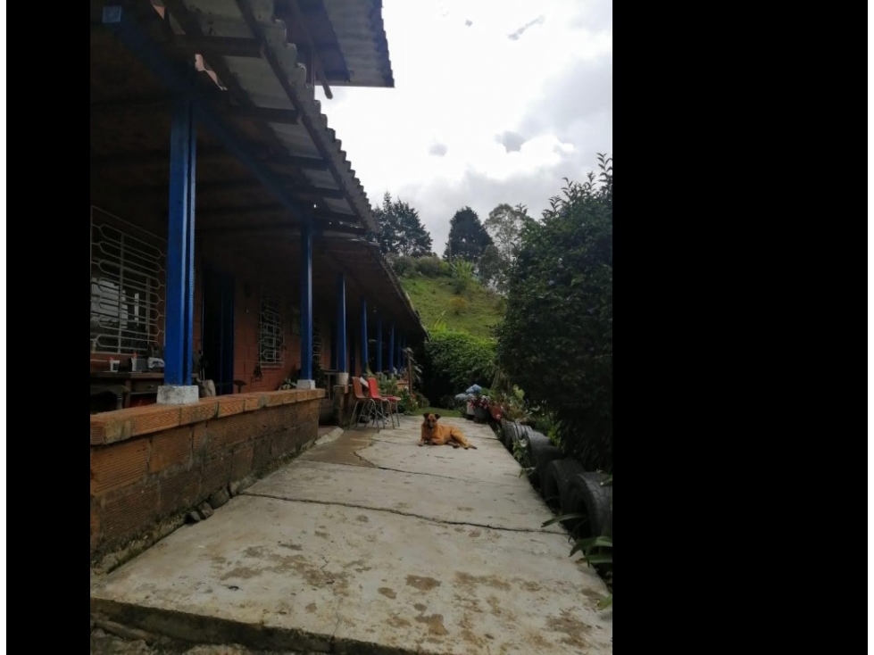 CASA CAMPESTRE EN VENTA GUARNE, SECTOR SANGO — foto 2