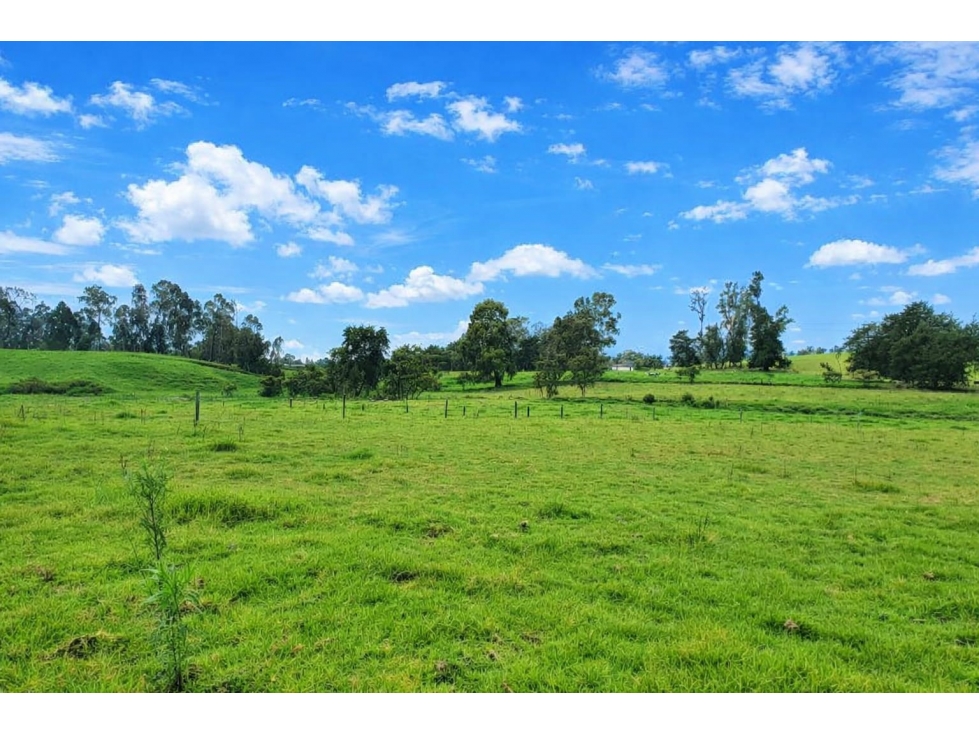 VENTA LOTE EN LLANO VALENCIA | SAN PEDRO DE LOS MILAGROS — foto 2