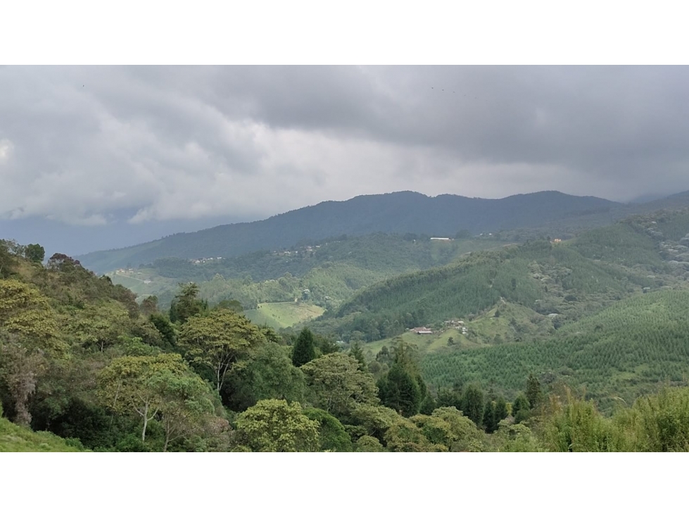 EXCELENTE PROYECTO COLINAS DE CYPRÉSS. LOTES EN CALDAS, ANTIOQUIA - 1