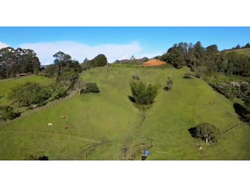(V.I) ESPECTACULAR Y AMPLIO LOTE EN RIONEGRO EN VENTA, VEREDA CAPIRO — foto 2