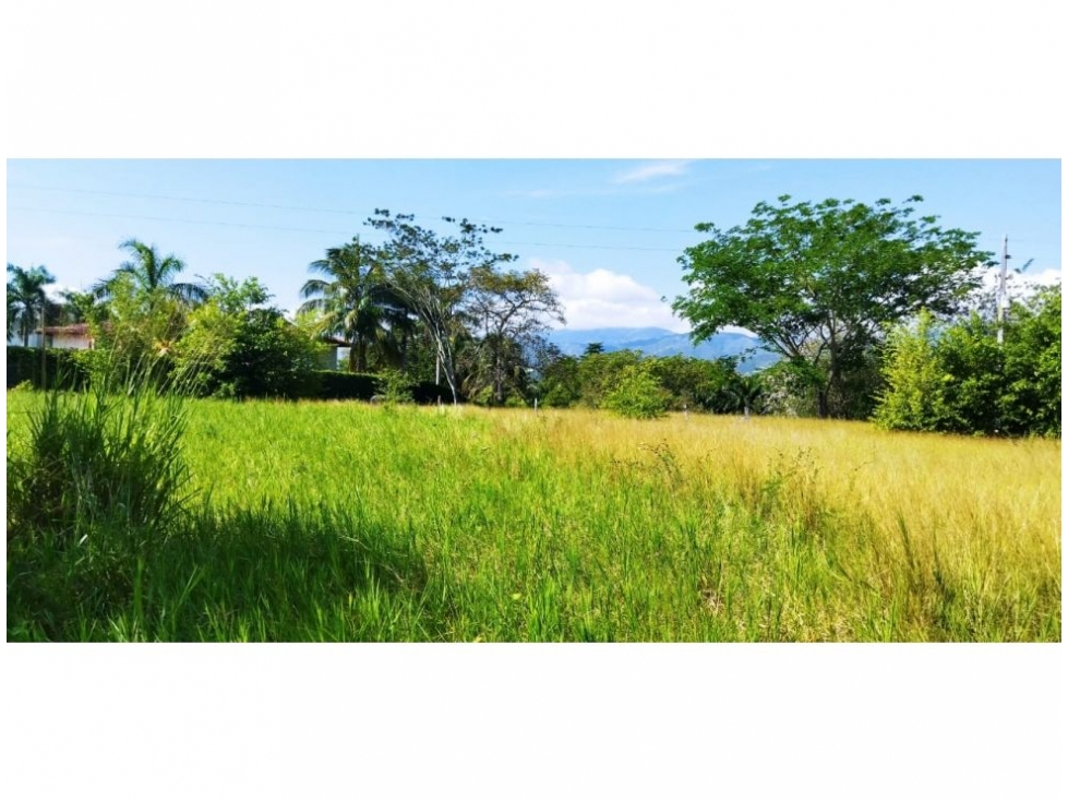 (V.I)LOTE EN VENTA EN PARCELACIÓN PANGORDITO SANTA FE DE ANTIOQUIA — foto 2