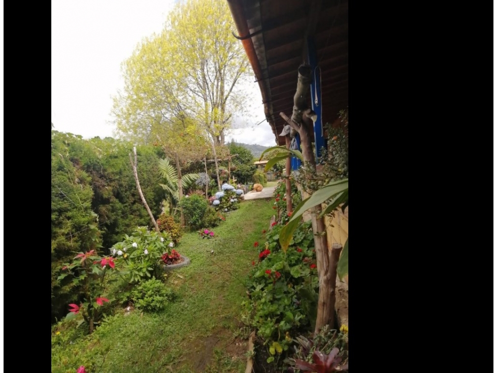 CASA CAMPESTRE EN VENTA GUARNE, SECTOR SANGO — foto 3