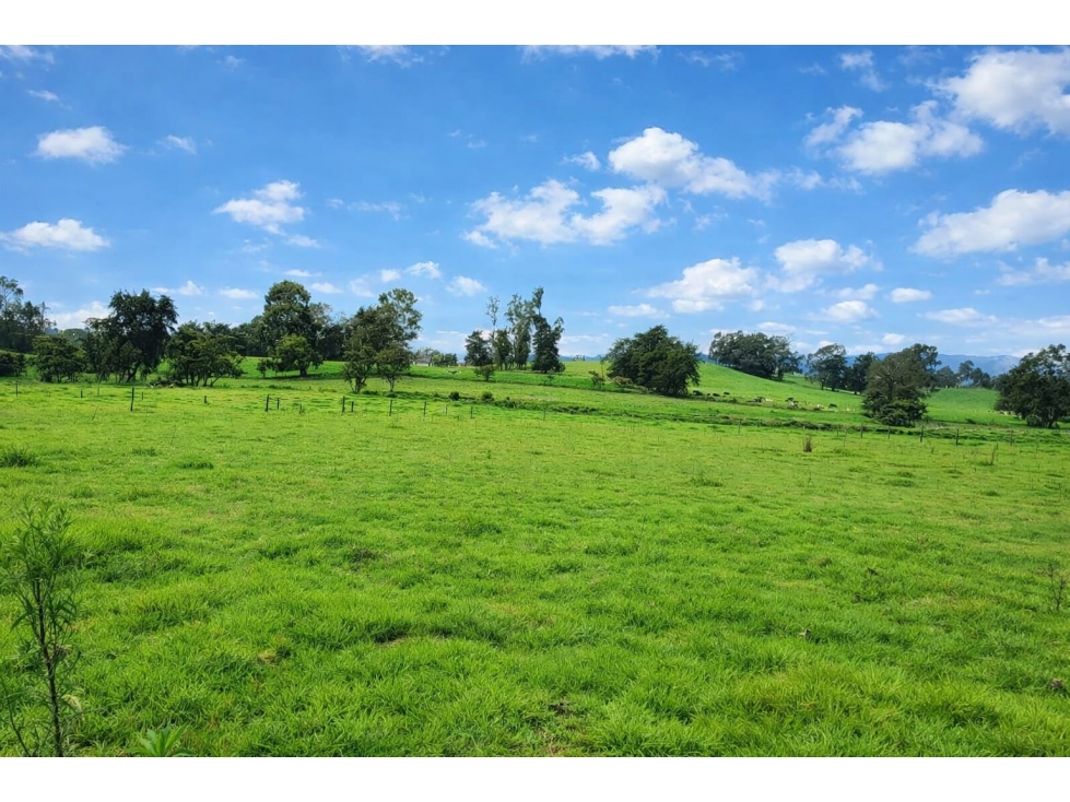 VENTA LOTE EN LLANO VALENCIA | SAN PEDRO DE LOS MILAGROS — foto 3