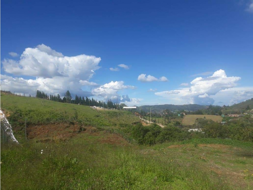 (V.I) LOTE EN VENTA GUARNE, VEREDA BATEA SECA — foto 3