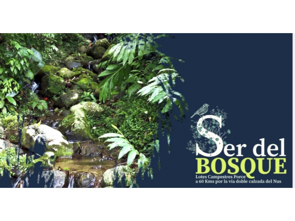 LOTE CAMPESTRE EN VENTA EN PORCE - 3