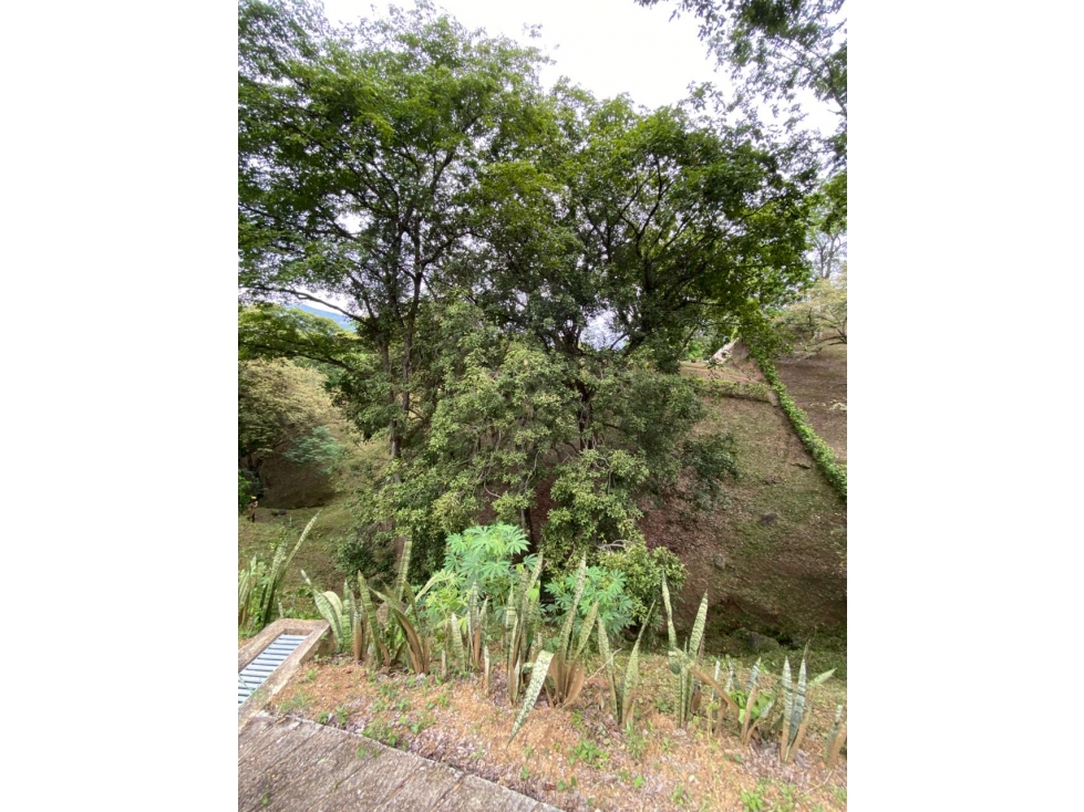 LOTE EN SOPETRAN PARA LA VENTA, GRAN OPORTUNIDAD DE INVERSION — foto 2
