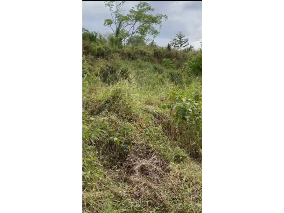 (V.I) LOTE EN VENTA EN SOPETRÁN — foto 4