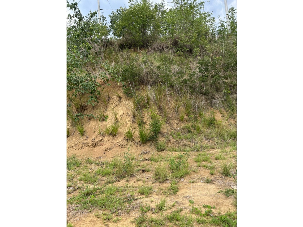 (V.I) LOTE EN VENTA UBICADO EN SOPETRAN VEREDA EL LLANO DE LA MONTAÑA — foto 4